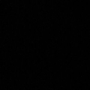 Meet your Posher, Gavin